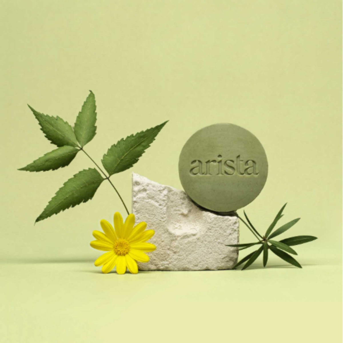 Pale green backdrop with a blue round arista soap resting on a white rock, surrounded by leaves and a yellow flower