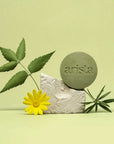 Pale green backdrop with a blue round arista soap resting on a white rock, surrounded by leaves and a yellow flower