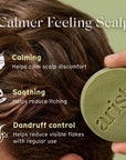 Arista shampoo bar held by a hand, next to text about scalp benefits on a green background.