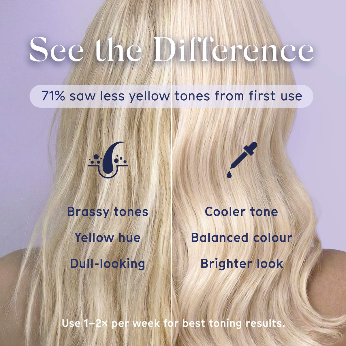 Blonde hair color transformation with text indicating results and usage of the Arista purple shampoo with tips on a purple background