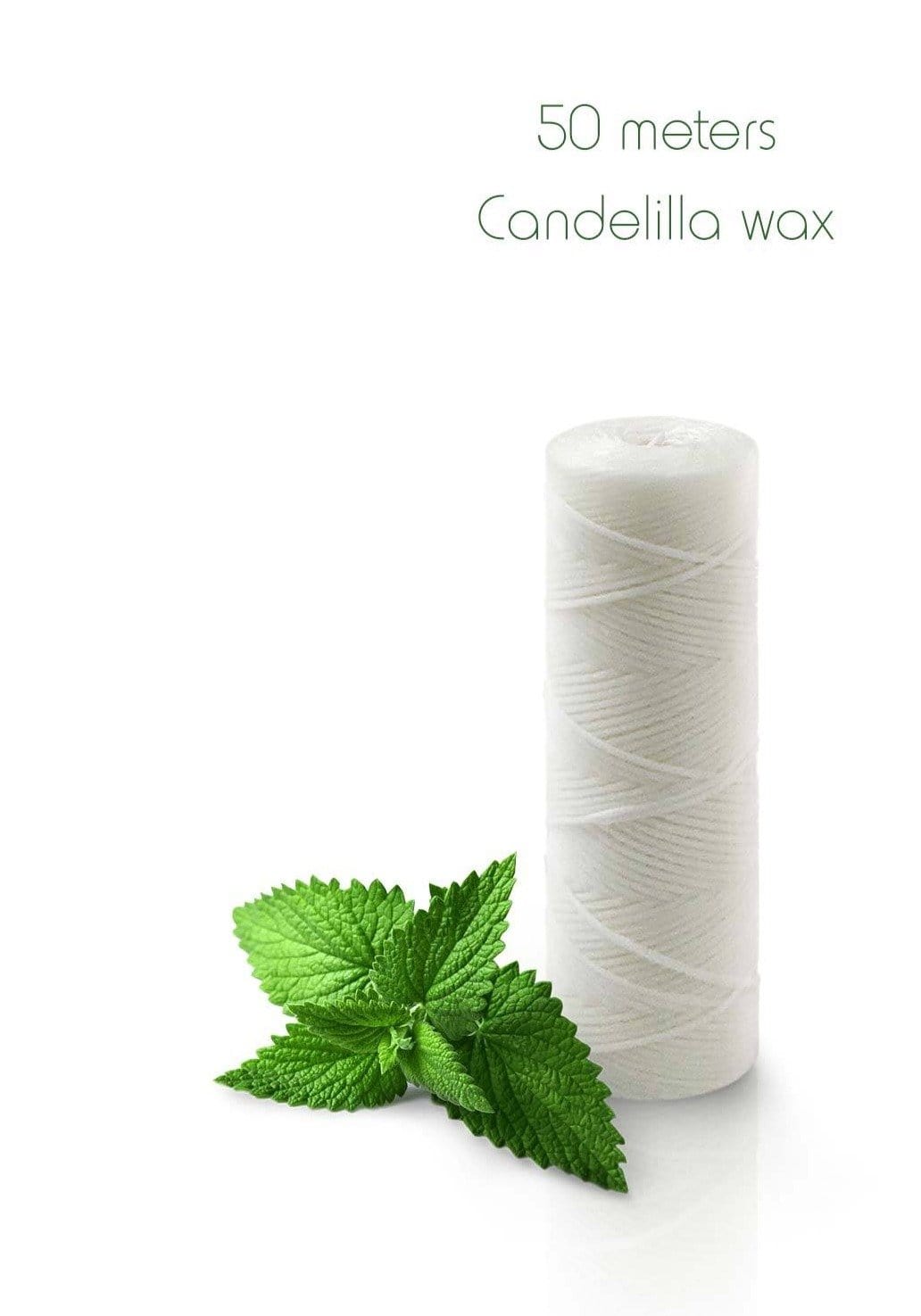 50 meters Candellila wax floss spool with mint leaves beside it