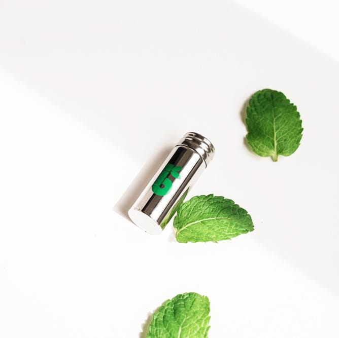 Shiny metal floss container with a green leaf graphic resting on its side on a white surface